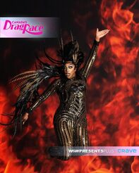 Kimora Amour