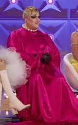 Reunion Look