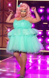 Tutu Much Look