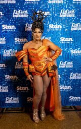 Premiere Look