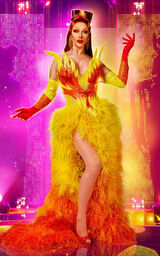 Vanessa van Cartier | RuPaul's Drag Race Wiki | Fandom