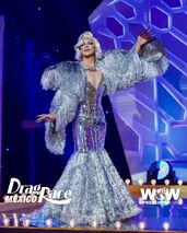 Chicas de Plata Look