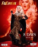 Countdown Promo