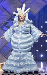 Arctic Foxy Lady Look