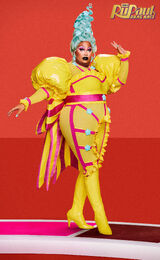 Promo Look