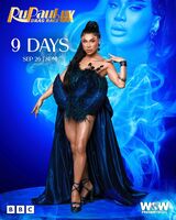 Countdown Promo