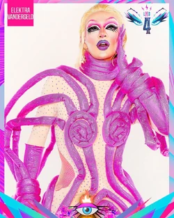 ElektraVandergeldPinkLook