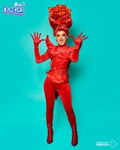 Peluca Palooza Look