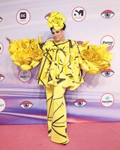 Alfombra Rosa Look