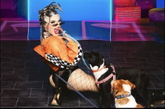 Sesión de fotos 'Dragas de Calendario'