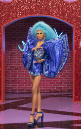 Entrance Look
