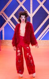 Entrance Look