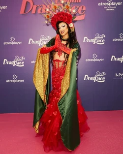 VisaDRES4RedCarpetLook