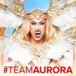 TeamAuroraMatrixCDR4