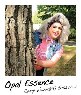 Polaroid-opal-essence
