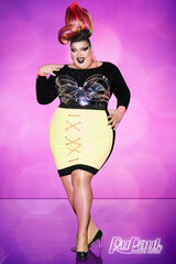 Promo Look