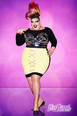 USA Season 10
