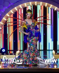 ElektraVandergeldDRMX2FuturisticLook