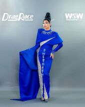 Guest Judge Look