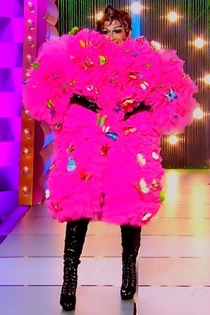 VisaThree-In-OneLook1