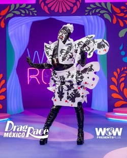 IgnusArsDRMX2EntranceLook