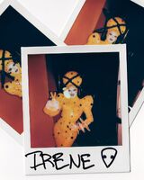 Polaroid Promo