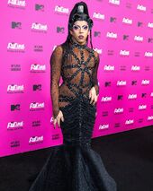 Premiere Look