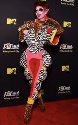 Premiere Look