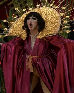 IvizaLiozaPerformanceLook