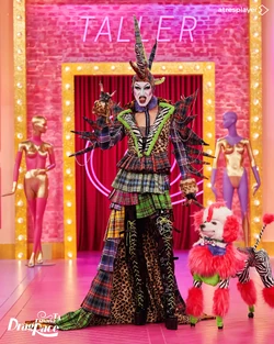 KellyPassa!?EntranceLook