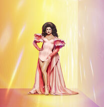 Promo Look