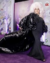 Alfombra Morada Look
