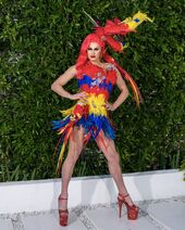 Unaired Hot Tropics Look
