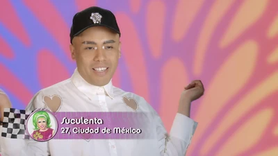 SuculentaDRMX2ConfessionalLook