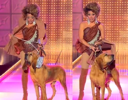 XkwvBfu