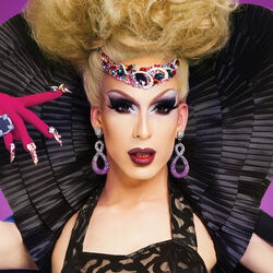 Category RuPaul s Drag Race All Stars Season 2 Contestants