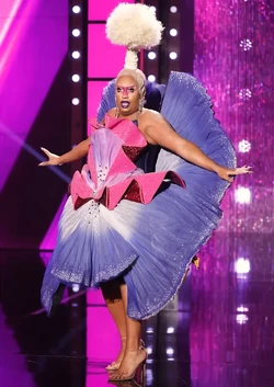 DeJaSkyeComingandGoingLook