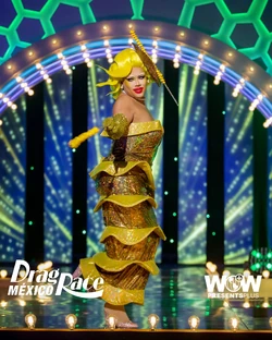 SuculentaDRMX2FairFoodLook