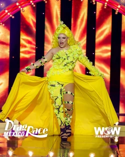 UniqueDRMX2YellowLook