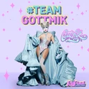 TeamGottmikS13