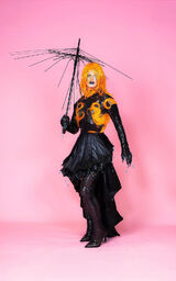 Drache nationale Look