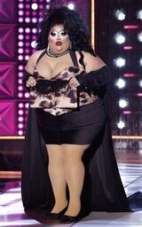 Drag Race Fashion Week Look