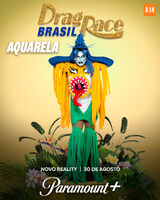 Promo Poster