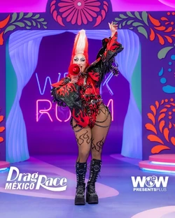 AvaPocketDRMX2EntranceLook