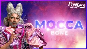 Banner Promo