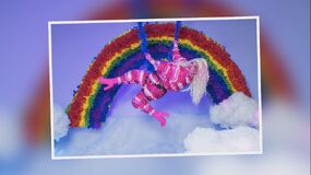 Piñata Photoshoot