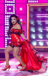 Dancing Queens Look – Flamenco