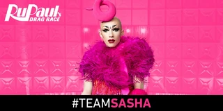 #TeamSasha Banner