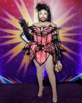 Look de la alfombra morada