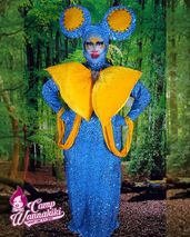 Signature Drag Look